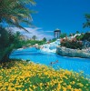 Отели / Турция / Белек / Limak Arcadia Golf Resort / Галерея отеля отеля Limak Arcadia Golf & Sport Resort (Лимак Аркадия Гольф & Спорт  Резорт)